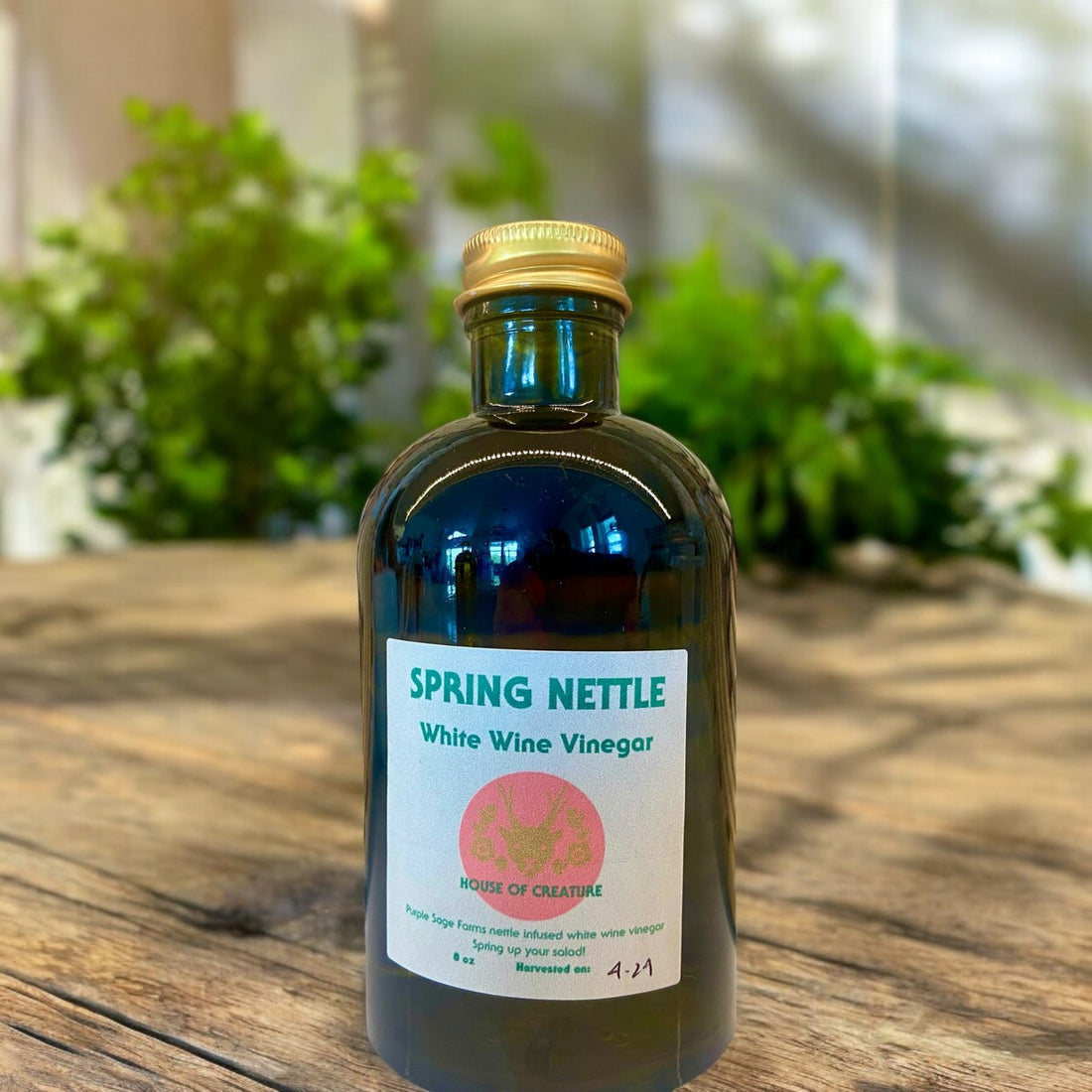 Nettle Vinegar